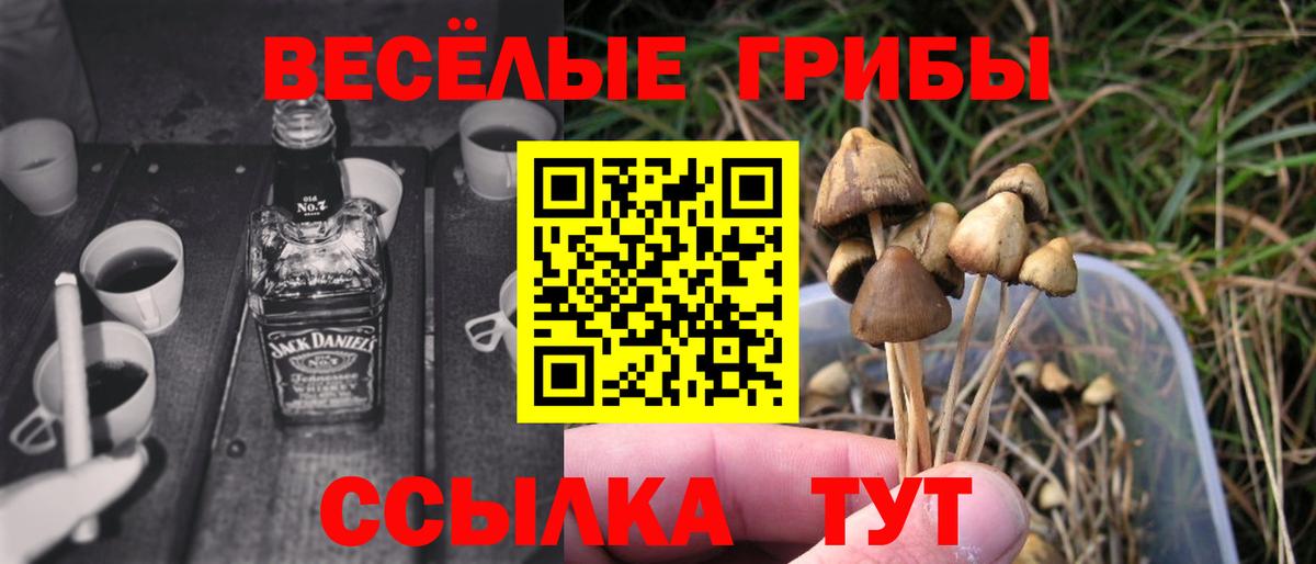Псилоцибиновые грибы мухоморы  Вход с VPN  Торжок 