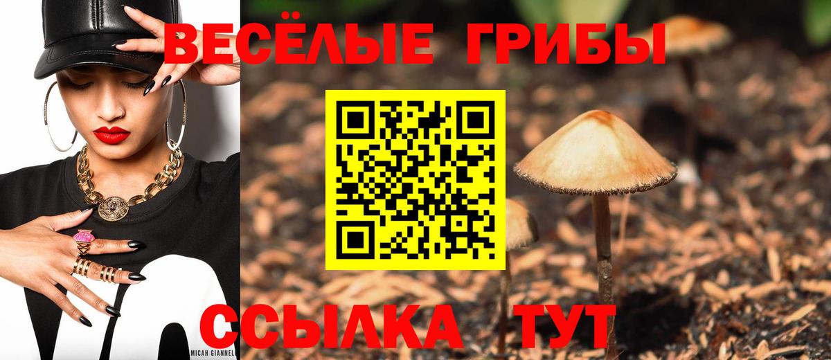 Галлюциногенные грибы Cubensis  Торжок  Галлюциногенные грибы Psilocybe 